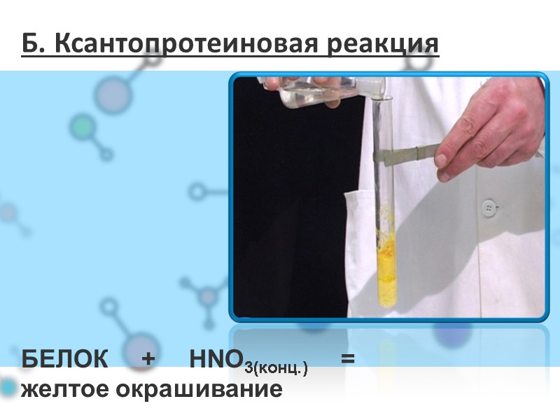 Б. Ксантопротеиновая реакция БЕЛОК + HNO3(конц.) = желтое окрашивание